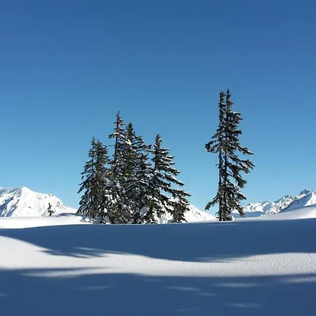 Silber * Bartholomäberg